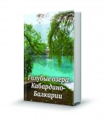 имитация книжки копия24